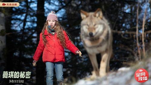 薇琪的秘密,探寻她背后的神秘故事