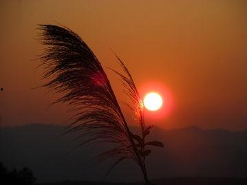 日落家园 第一季,第一季:探寻神秘古堡的奇幻之旅