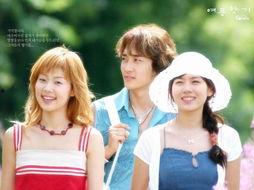 夏日香气,探寻浪漫与温馨的夏日时光